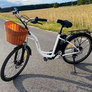 E-Bike, Elektrofahrrad 26'' Trekkingrad E-Cityrad mit 36V Lithium-Akku für Lange Reichweite bis 100KM, 250W Motor, City E-Bikes & E-Hollandräder