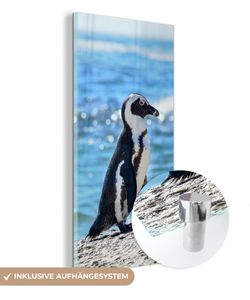 MuchoWow® Glasbilder - Bilder auf Wandbild - Foto auf Glas Pinguin am Strand von Boulders Beach 20x40 cm Wanddekoration aus Glas - Acrylglasbild - Acrylbilder