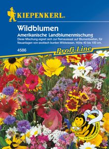 KIEPENKERL® Wildblumen Amerikanische Landblumenmischung - Blumensamen