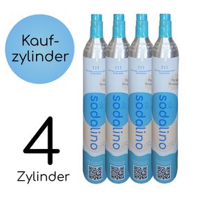 CO2-Zylinder | 4 x 425g (60L)