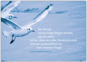 Zuversichtliche Glückwunschkarte zur Konfirmation/ Firmung mit Möwe "Der Grund, warum Vögel fliegen können..."