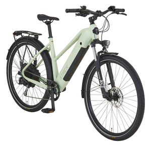 Prophete STACK 2.9 E-ATB 29" – enovation Hinterradmotor 250W, 130 km Reichweite, Shimano Alivio 9-Gang, Hydraulische Scheibenbremsen, LED-Beleuchtung, Li-Ion Akku 48V 480Wh, Moosgrau