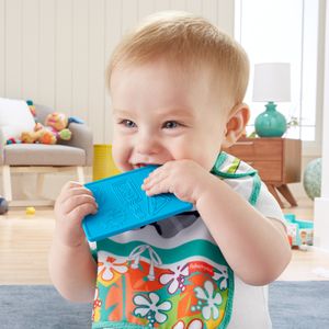 Fisher-Price Reisespaß Rassel- und Knisterset, Baby-Spielzeug für Neugeborene