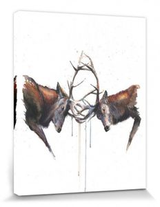 Hirsche Poster Leinwandbild Auf Keilrahmen - Brunftkampf Zweier Hirsche, Sarah Stokes (50 x 40 cm)