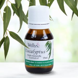 Eukalyptus-Öl, 15 ml