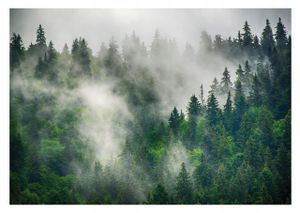 Vlies Fototapete Wald im Nebel Bäume Landschaft (416x254 cm - inkl. Kleister) Wohnzimmer Schlafzimmer Modern Vliestapete Tapete