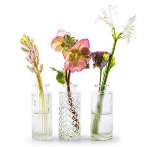 12 x  Vasen MIRA aus Glas - Glasflaschen - H 13,5 cm - Dekovasen - Glasvasen - Tischvase - Blumenvasen - Väschen