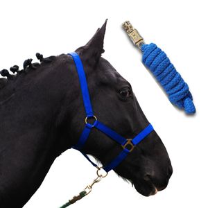 Halfter für Pferde mit Strick - Größe Warmblut, Full, Führstrick 2m mit Panikhaken - Farbe royalblau