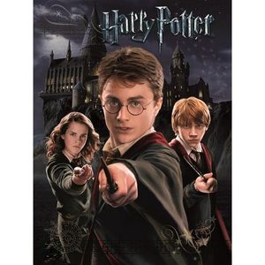 Harry Potter - potlač "Harry, Ron a Hermiona" PM5721 (30 cm x 40 cm) (čierna)