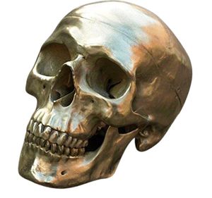 Skulptur Bronze Totenschädel - Skull Deko