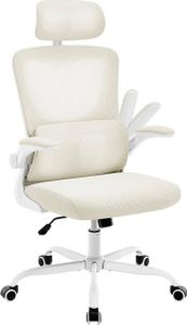 WOLTU Bürostuhl ergonomisch, Schreibtischstuhl Netzstoff, höhenverstellbar : Beige Farbe: Beige