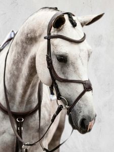 PS of Sweden Trense Athens Trensenzaum Braun Pony