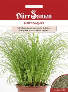 Dürr-Samen - Katzengras - Saatgut - 0223