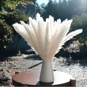 15 Stück Weiß Pampasgras 50CM Natürliche Getrocknete Blumen DIY Pampasgras Phragmiten Home Party Deko