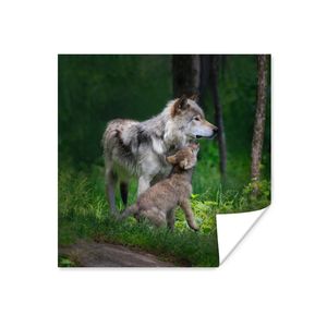 MuchoWow® Poster Wolf - Baby - Wald 100x100 cm - Babyzimmer