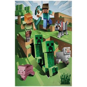 Polarowy koc Minecraft - Farma