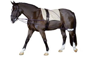 Cheval  Longierhilfe Bodenarbeit Ausbildung Pony und Kleinpferde Longiersystem  Longier-und Trainingssystem