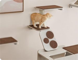 Feandrea Clickat Katzentreppe, Katzenbrett Wand, Kletterwand Katzen, Katzenleiter, Katzenbürste