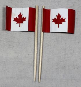 Party-Picker Flagge Kanada Papierfähnchen in Spitzenqualität 25 Stück Beutel