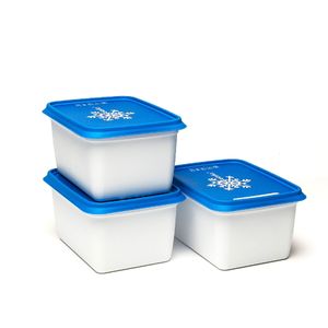 Amuse Gefrierdose, Kunststoff (PP), weiß/blau, 3 x 1000 ml