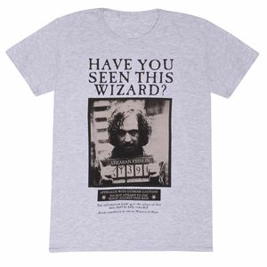 Harry Potter - T-Shirt für Herren/Damen Unisex HE1697 (M) (Grau meliert)