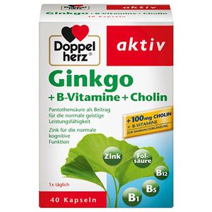Doppelherz | Ginkgo+B Vitamin+Cholin | 40 Kapseln