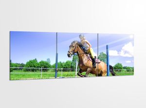Acrylglasbilder 3 Teilig 150x50cm Sport Pferd Pferdereiten Rennen   Acrylbild Bilder Acrylglas Wand Bild Kunstdruck 14А5694