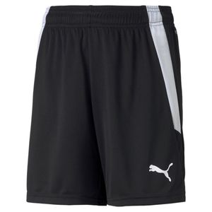 PUMA teamLIGA Trainingsshorts Kinder puma black/puma white 164