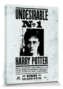 Harry Potter Poster Leinwandbild Auf Keilrahmen - Unerwünschter Nr 1, Daniel Radcliffe (80 x 60 cm)