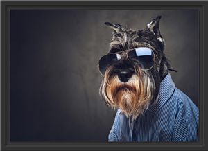 Lustiger Hund mit Hemd und Sonnenbrille im Schattenfugen Bilderrahmen / Format: 55x40 im Schattenfugen-Bilderrahmen / Kunstdruck auf hochwertigem Galeriekarton / hochwertige Leinwandbild Alternative Lustiger Hund mit Hemd und Sonnenbrille im Schattenfugen Bilderrahmen / Format: 55x40 im Schattenfugen-Bilderrahmen / Kunstdruck auf hochwertigem Galeriekarton / hochwertige Leinwandbild Alternative