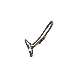 Kentucky Leather Grooming Halfter Golden Full Golden Full
