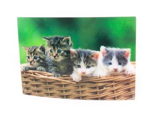 3 D Ansichtskarte Katzen im Korb, Katze Postkarte Wackelkarte Hologrammkarte Tiere Kätzchen