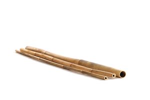 Bambusrohr - Goldener Timber Bambus aus China 200cm 4-6 cm