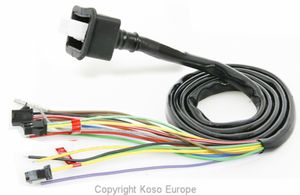 Hauptkabelbaum für RX1N/RX2 von Koso