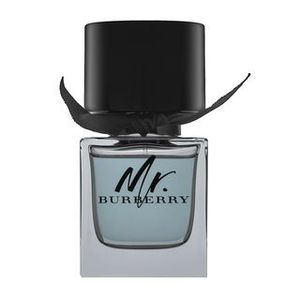 Burberry Mr. Burberry Eau de Toilette für Herren 50 ml