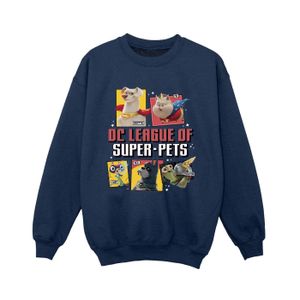 DC Comics - "DC League Of Super-Pets Profile" Sweatshirt für Jungen BI15856 (116) (Marineblau)