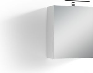 HOMEXPERTS Spiegelschrank SALSA, Breite 50 cm, mit LED-Beleuchtun, mit Schalter- und Steckdosenbox, Badezimmerschrank mit Spiegeltür