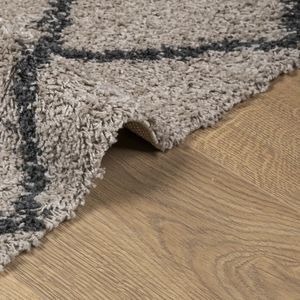 vidaXL Shaggy-Teppich PAMPLONA Hochflor Beige & Anthrazit 80x200 cm