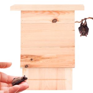 Großer Fledermauskasten aus Massivholz - Fledermaus Nistkasten Fledermaushaus : 1 Stück