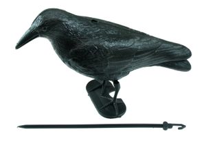 RABE VOGELSCHRECK, 38 cm Kunststoff, 9204017380