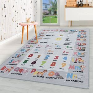 Kurzflor Kinderteppich Kinderzimmer Teppich Buchstaben Zahlen Jahreszeiten Grau, Farbe:Grau, Grösse:80x120 cm