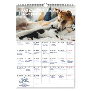Tierzauber Hund und Katz Planer DIN A3 Kalender für 2025 Katzen und Hunde - Seelenzauber
