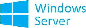 Microsoft Windows Server 2019 Lizenz für den Kundenzugriff