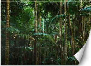 Vlies fototapete Regenwald natur 200x140 cm Feeby Grün inkl. Kleber einfache Montage