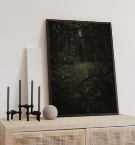 Poster Waldblick, groesse_poster:70x100 cm, groesse_rahmen:weiß 70x100 cm