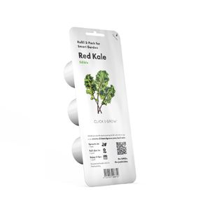 Click & Grow 4742793008752, Essbare Pflanze, Red kale, Starter-Set, 3 Stück(e), Box