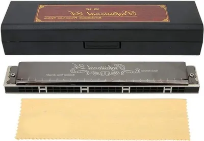 Professionelle 24-Loch Mundharmonika, polyphone diatonische Mundharmonika in D-Dur mit kräftigem Klang und langlebigem Design