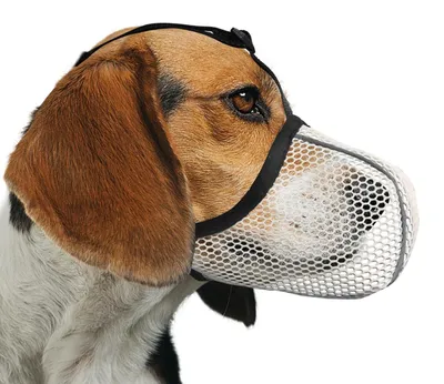 Obrázok produktu pre Ochranná maska pre psov, priedušná, mäkká, nastaviteľná, farba béžová, veľkosť M