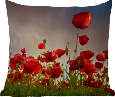 Produktbild von MuchoWow® Outdoor Kissen - Bunter Himmel über einem Mohnblumenfeld in Dänemark - 45x45 cm - Wetterfest - Lounge Kissen - Fotokissen - Dekoratives Kissen