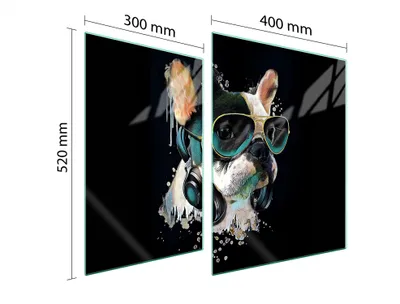 Produktbild von Glasschutzplatte Für Herd 70X52 Hund